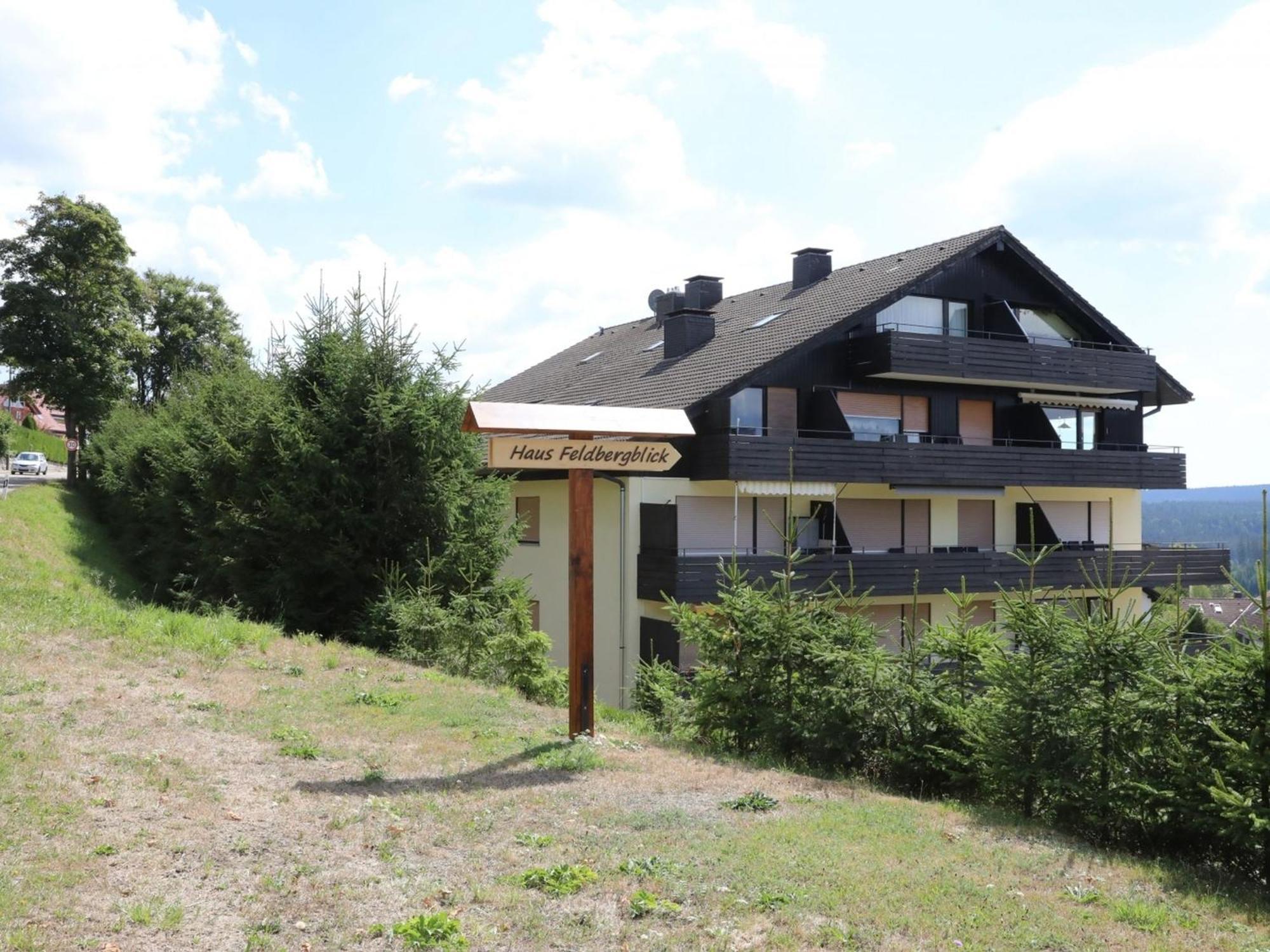 Apartment Ferienwohnung, 41 Qm Lenzkirch